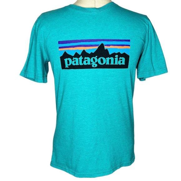 Patagonia | Youth Size XL (14) Blue Logo Graphic Tee T-Shirt Short Sleeve - Picture 2 of 4